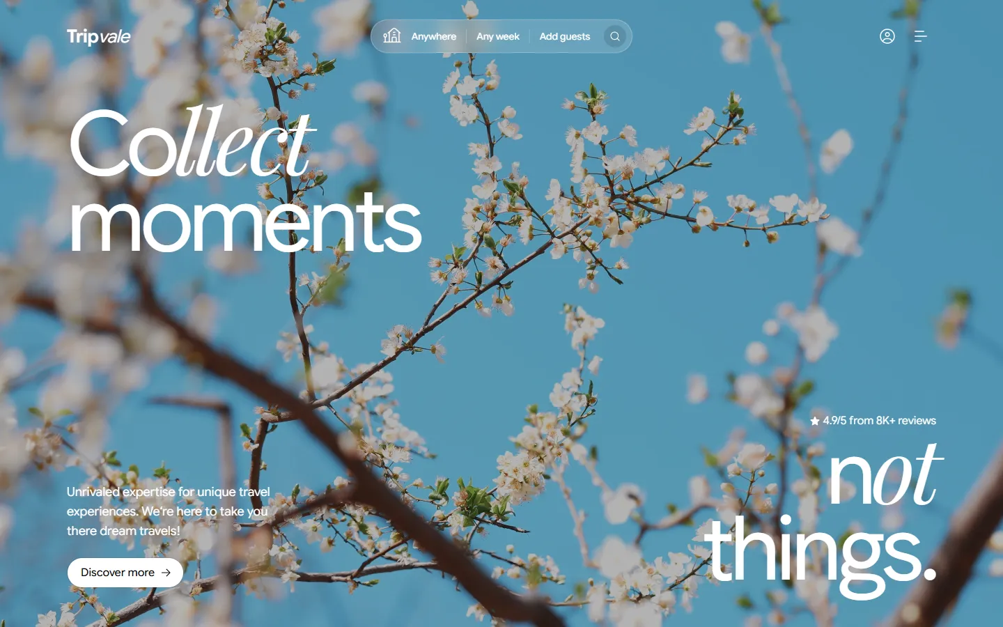 Tripvale home page, section 1